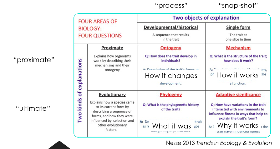 four-question-framework-detail.png