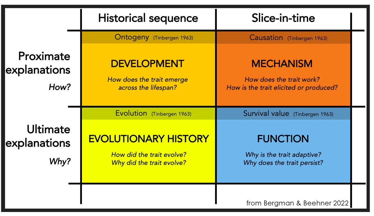 four-question-framework-table.png