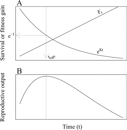NematodeReproductionCurve.png.png